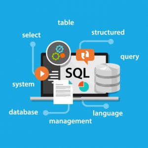 microsoft sql server 2017 essential training - Online SQL Courses -